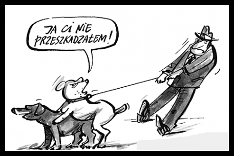Śmieszne zwierzaki 10