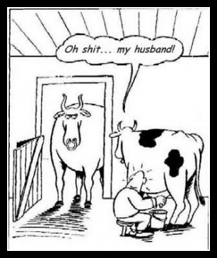 Śmieszne zwierzaki 30