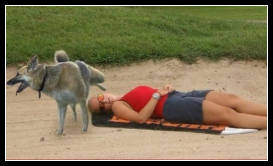 Śmieszne zwierzaki 49