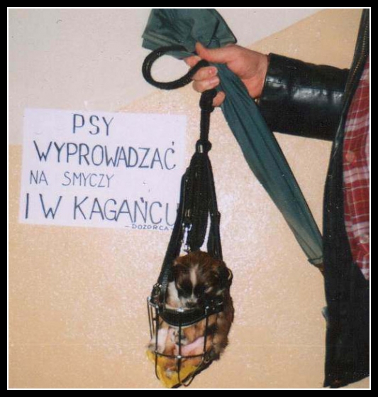 Śmieszne zwierzaki 54