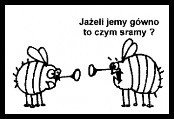 Śmieszne zwierzaki 65