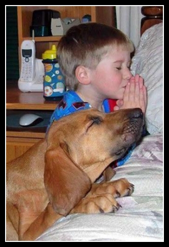 Śmieszne zwierzaki 67