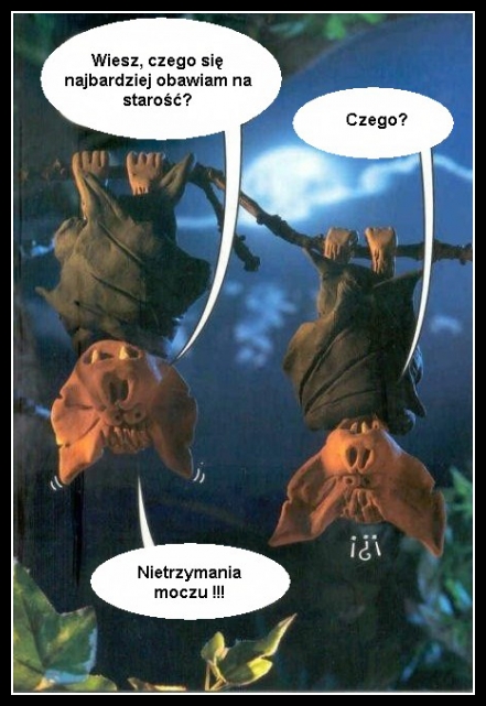 Śmieszne zwierzaki 76