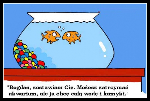 Śmieszne zwierzaki 77