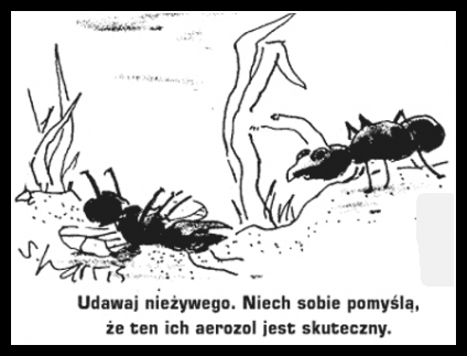 Śmieszne zwierzaki 79