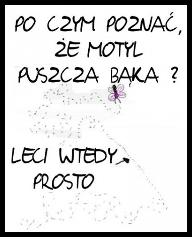 Śmieszne zwierzaki 81