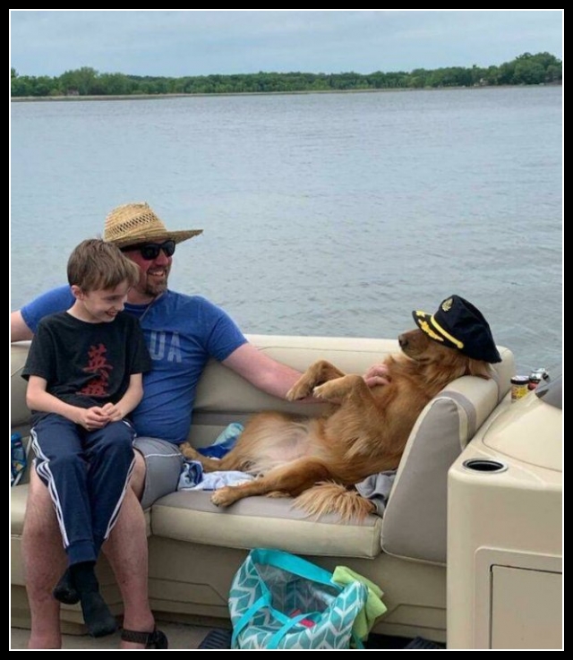 najśmieszniesze zdjęcia ze zwierzętami 20