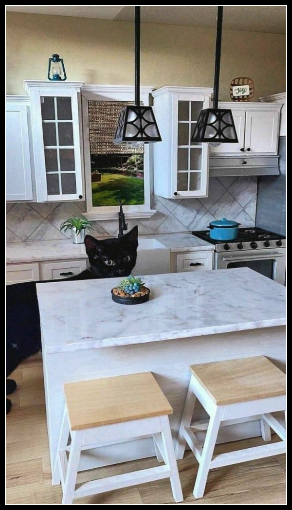 najśmieszniesze zdjęcia ze zwierzętami 27