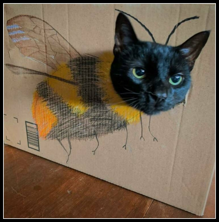 uśmiesznij się 41 - te zwierzęta mają poczucie humoru