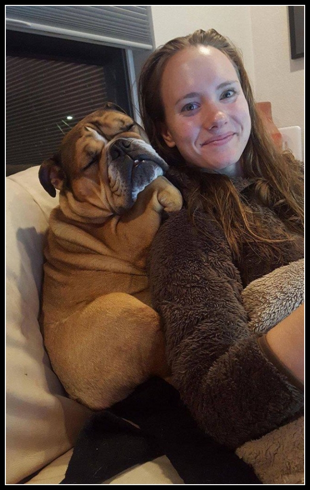 uśmiesznij się 42 - te zwierzęta mają poczucie humoru