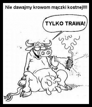Śmieszne zwierzaki 62