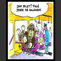 Śmieszne zwierzaki 15