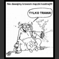 Śmieszne zwierzaki 62