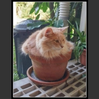 Zabawne zwierzęta 29