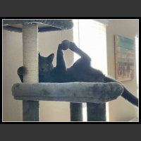 najśmieszniesze zdjęcia ze zwierzętami 18