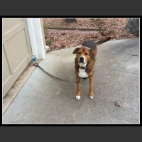 najśmieszniesze zdjęcia ze zwierzętami 29