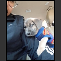 najśmieszniesze zdjęcia ze zwierzętami 32