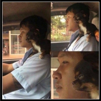 najśmieszniesze zdjęcia ze zwierzętami 37