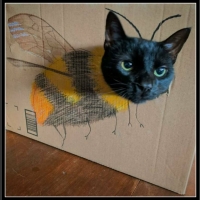 uśmiesznij się 41 - te zwierzęta mają poczucie humoru